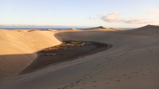 GC-Dunas de Maspalomas sunset 2026-110.jpg